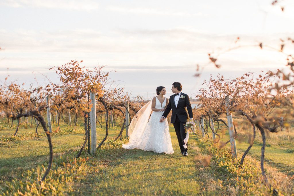 Bride and groom stroll along the vineywards at sunset at providence vineyard